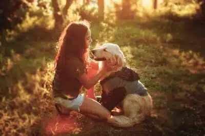 Seguros para Mascotas